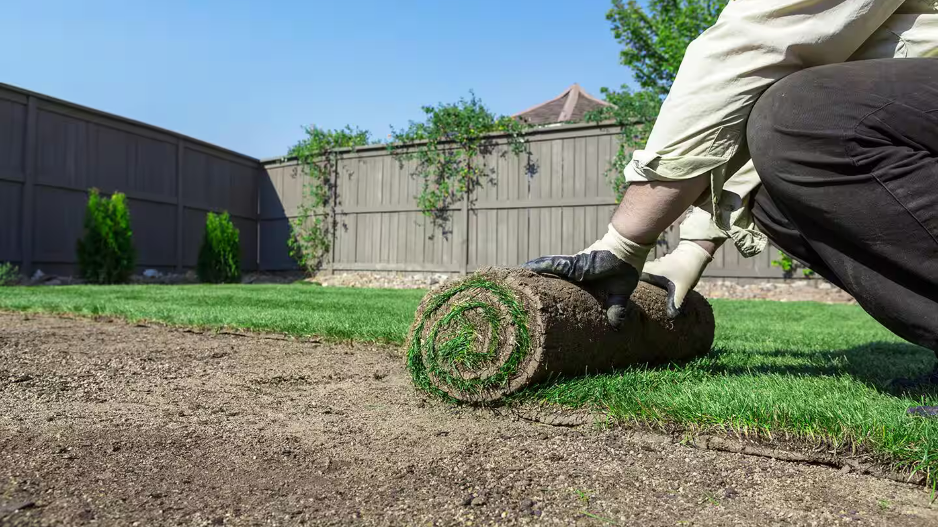 Father’s Trusted Lawn Care and Landscaping installing fresh sod in Lake City, Florida