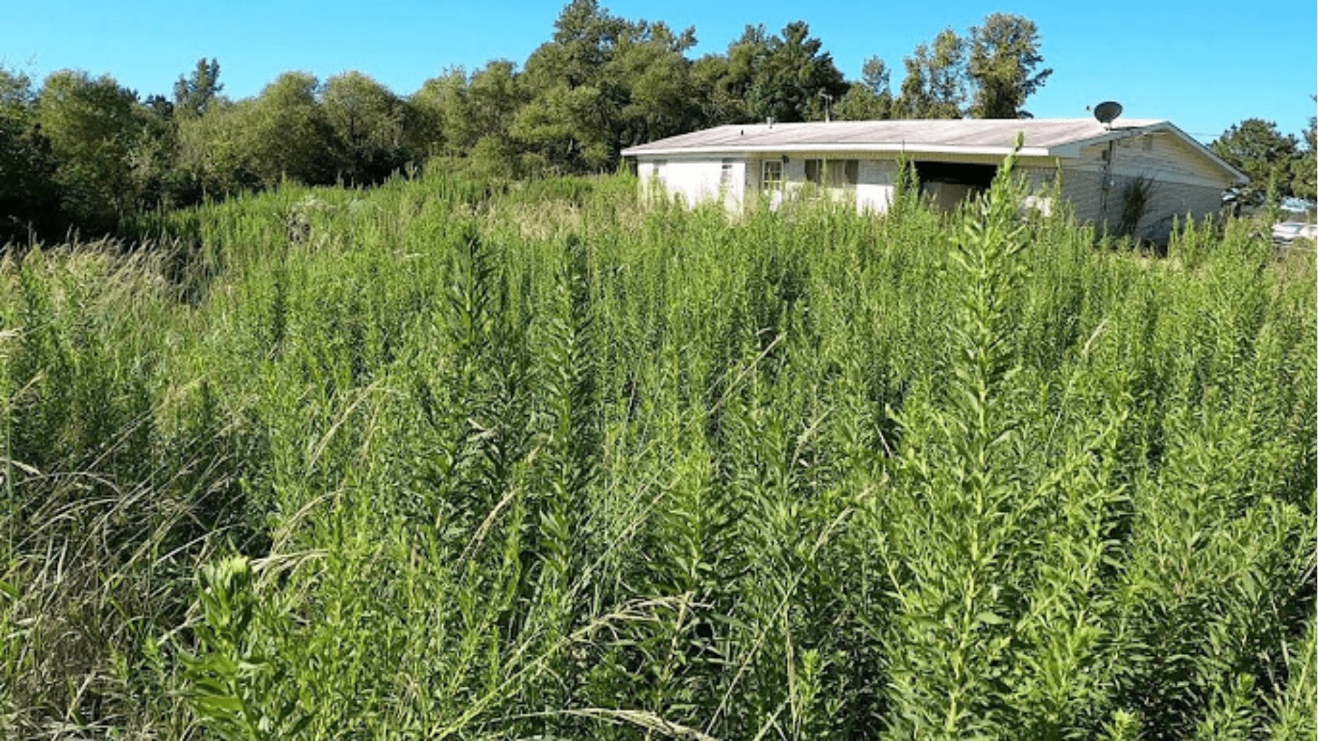 Father’s Trusted Lawn Care and Landscaping completing a property cleanup in Lake City, Florida